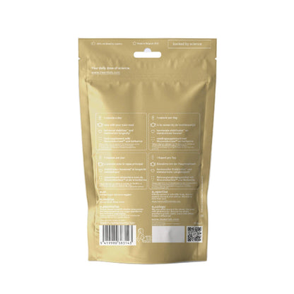 GLH-2 achterkant 